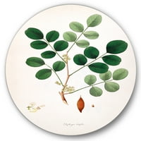 Дизајн Антички растителен живот xi 'Фарма куќа метална wallидна уметност - диск од 23