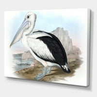 Антички австралиски птици VIII сликарство платно уметничко печатење