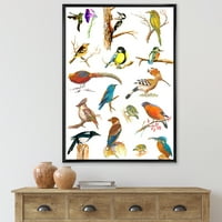 Витални птици во боја на плата, врамени сликарски платно уметнички принт